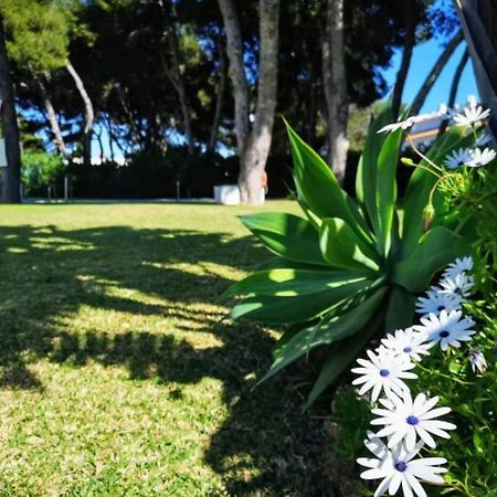 ¡Nuevo! Zona Tranquila Cerca De La Playa De La Carihuela Apartman Torremolinos Kültér fotó